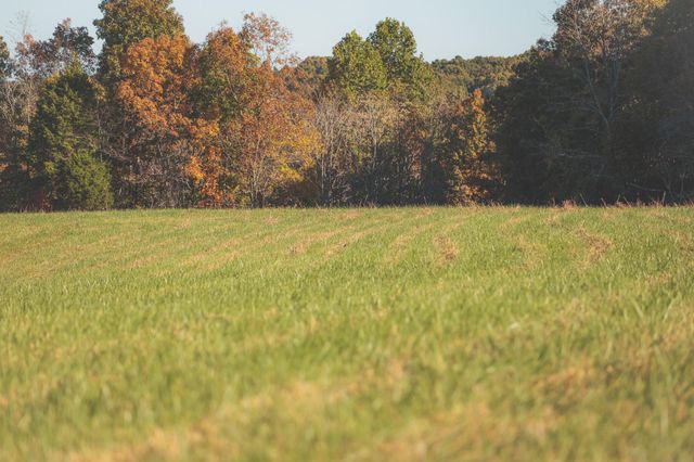 1047 Nelson Harrison Road, Evensville, TN 37332