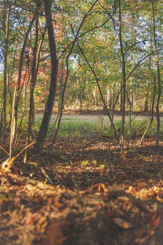 1047 Nelson Harrison Road, Evensville, TN 37332