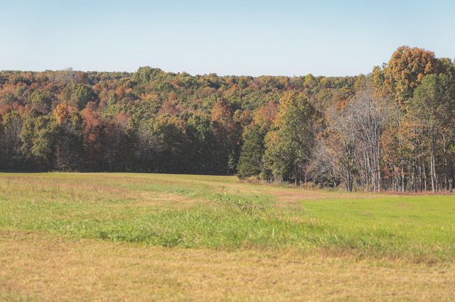 1047 Nelson Harrison Road, Evensville, TN 37332