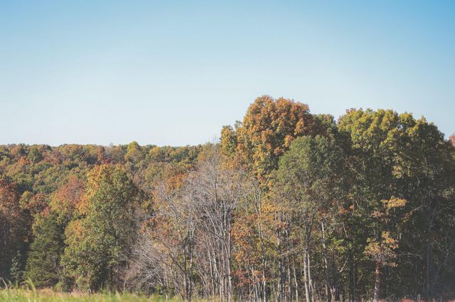 1047 Nelson Harrison Road, Evensville, TN 37332