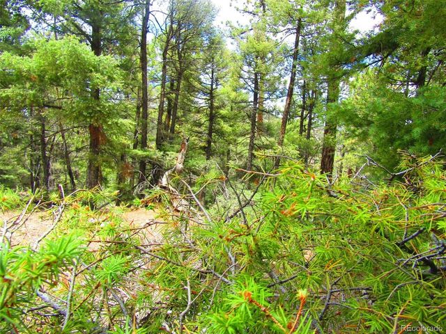 6028 Spruce Rds, San Luis, CO 81152