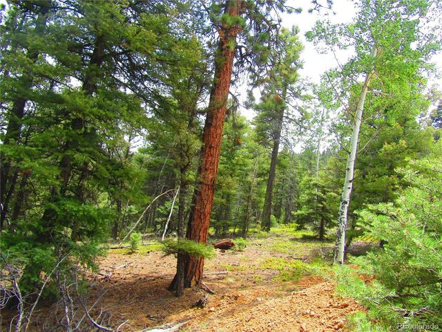 6028 Spruce Rds, San Luis, CO 81152