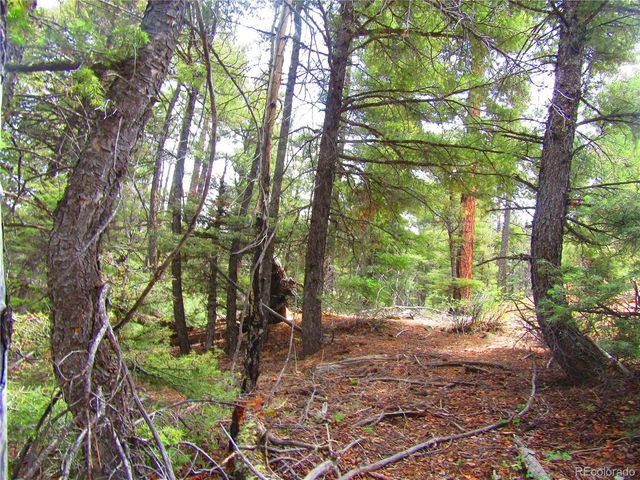 6028 Spruce Rds, San Luis, CO 81152