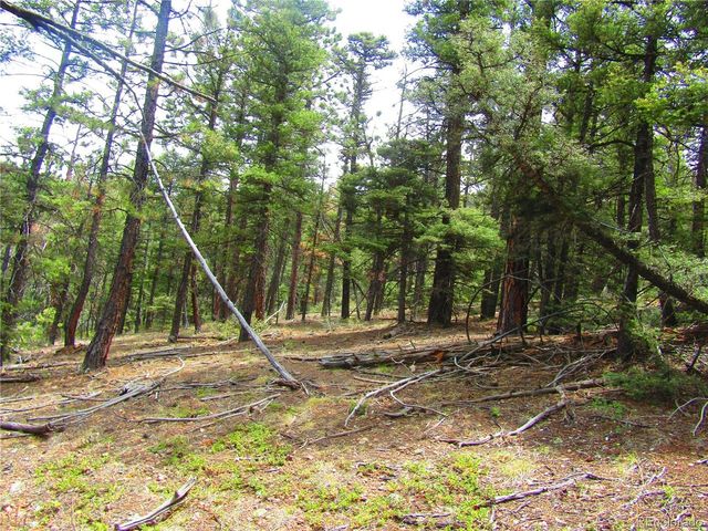 6028 Spruce Rds, San Luis, CO 81152