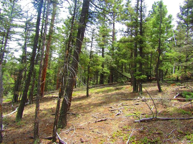 6028 Spruce Rds, San Luis, CO 81152