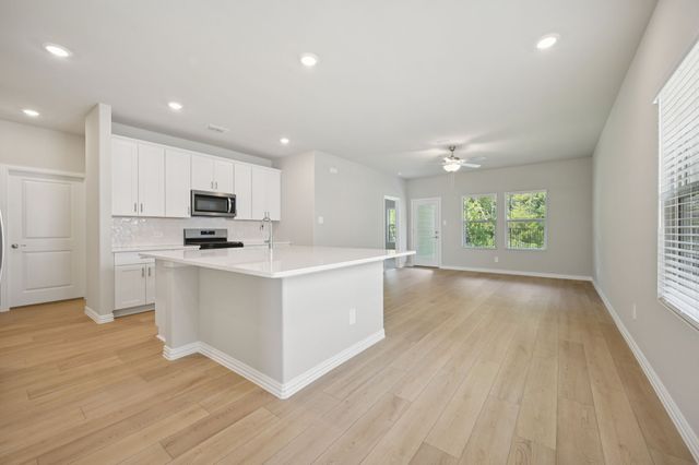 1130 Old Stead Drive, Princeton, TX 75071