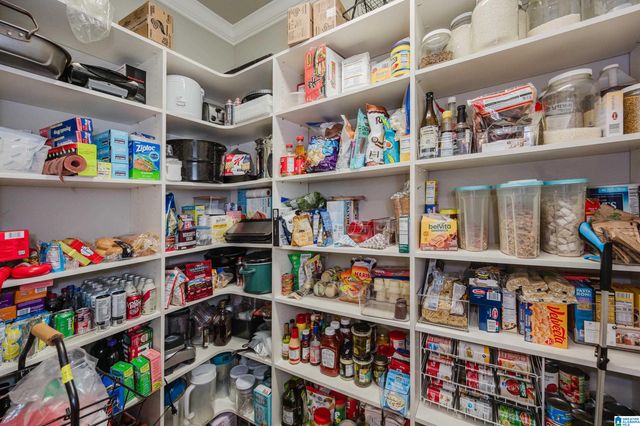 1404 SCOUT RIDGE DRIVE, Hoover, AL 35244