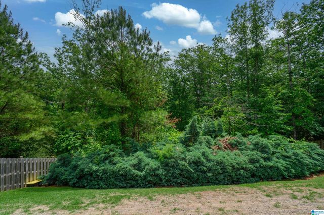 1404 SCOUT RIDGE DRIVE, Hoover, AL 35244