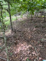 20055 CHARLES CIRCLE, Mccalla, AL 35111