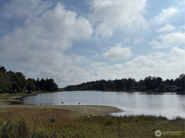 3220 241st Place, Ocean Park, WA 98640