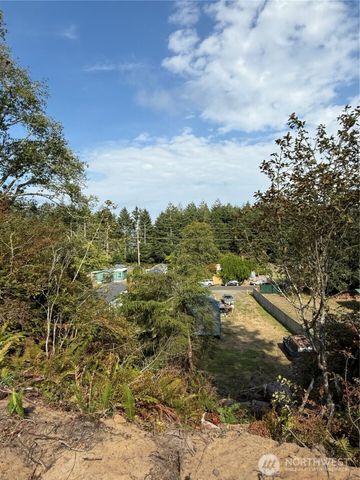 3220 241st Place, Ocean Park, WA 98640