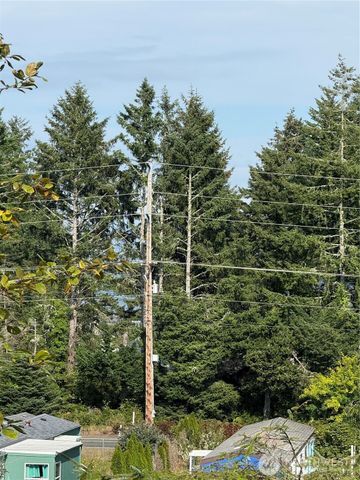 3220 241st Place, Ocean Park, WA 98640