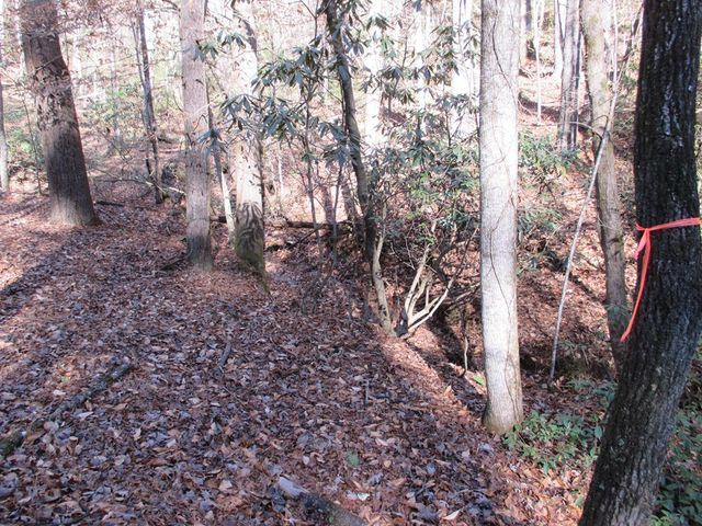 0 Doe Run, Ellijay, GA 30540