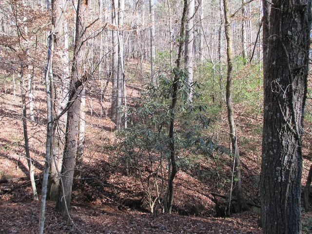 0 Doe Run, Ellijay, GA 30540