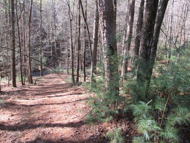 0 Doe Run, Ellijay, GA 30540