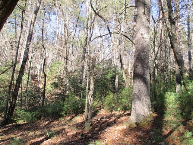 0 Doe Run, Ellijay, GA 30540