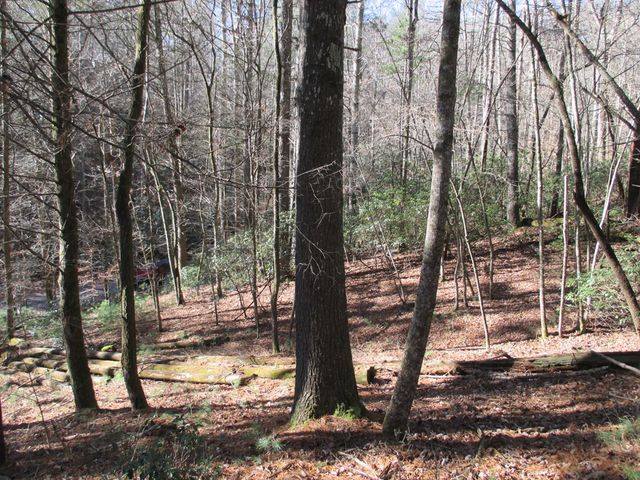 0 Doe Run, Ellijay, GA 30540