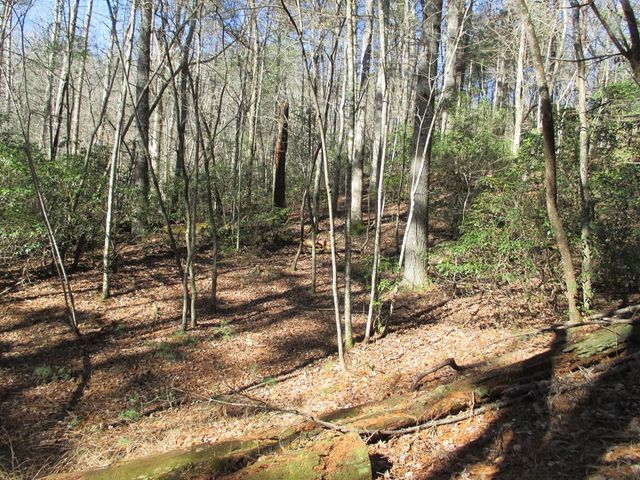 0 Doe Run, Ellijay, GA 30540