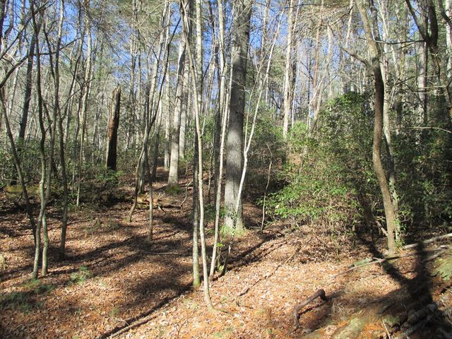 0 Doe Run, Ellijay, GA 30540