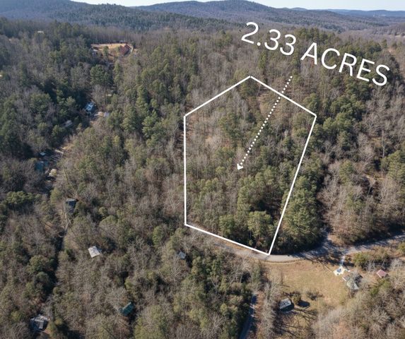 0 Doe Run, Ellijay, GA 30540