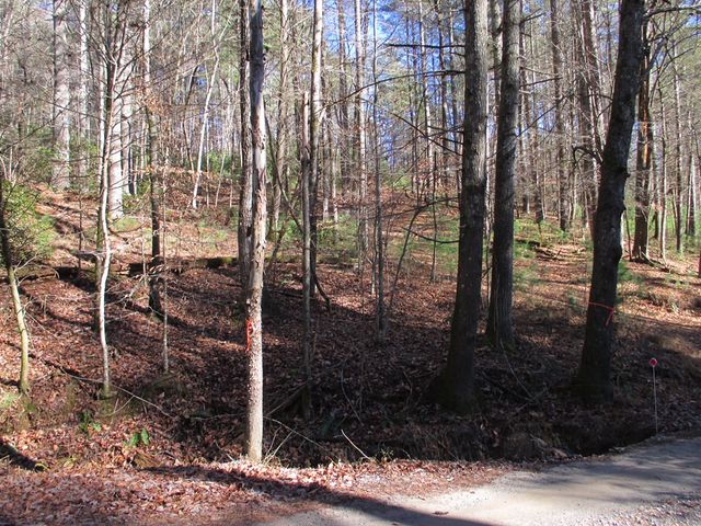 0 Doe Run, Ellijay, GA 30540