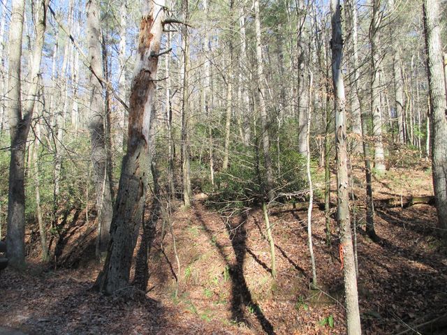 0 Doe Run, Ellijay, GA 30540
