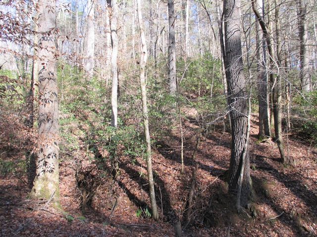 0 Doe Run, Ellijay, GA 30540