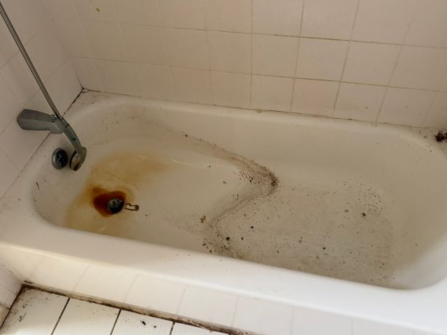 8114 S Anthony Avenue, Chicago, IL 60617