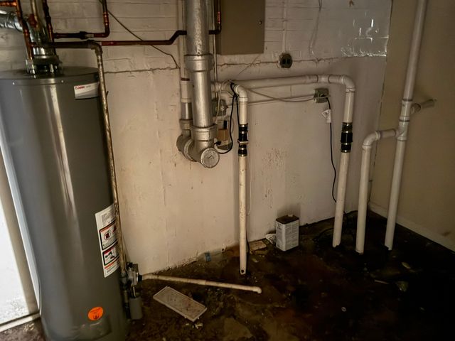 8114 S Anthony Avenue, Chicago, IL 60617