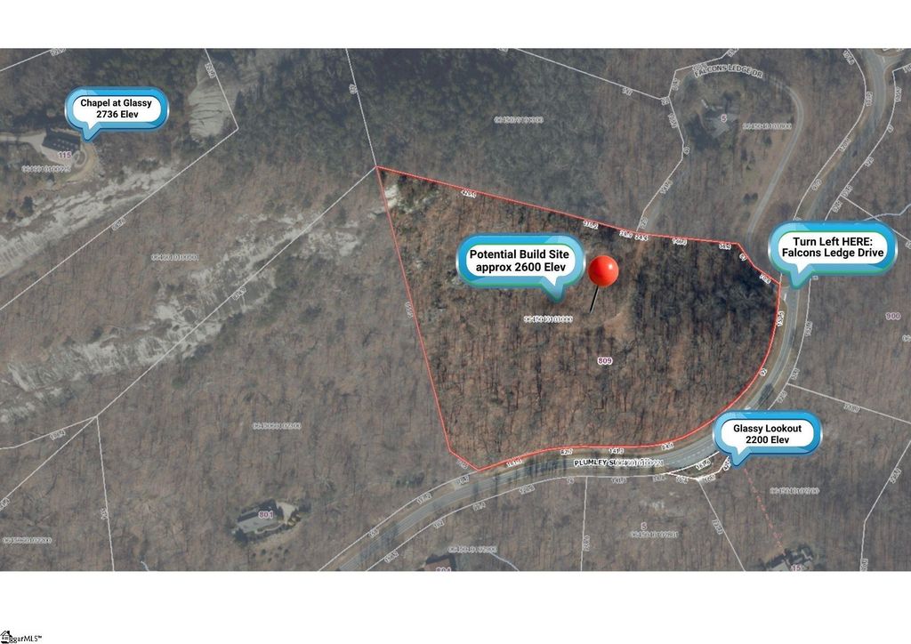 809 Plumley Summit Drive, Landrum, SC 29356