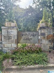 325 DEER RIDGE LANE, Chelsea, AL 35043