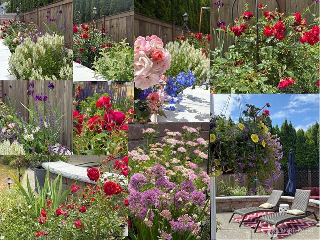 3807 Lanier Court SE, Lacey, WA 98503