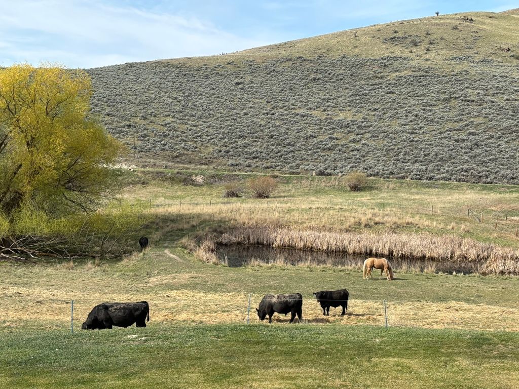 3 Finley Gulch Road, Lonepine, MT 59848 photo 7