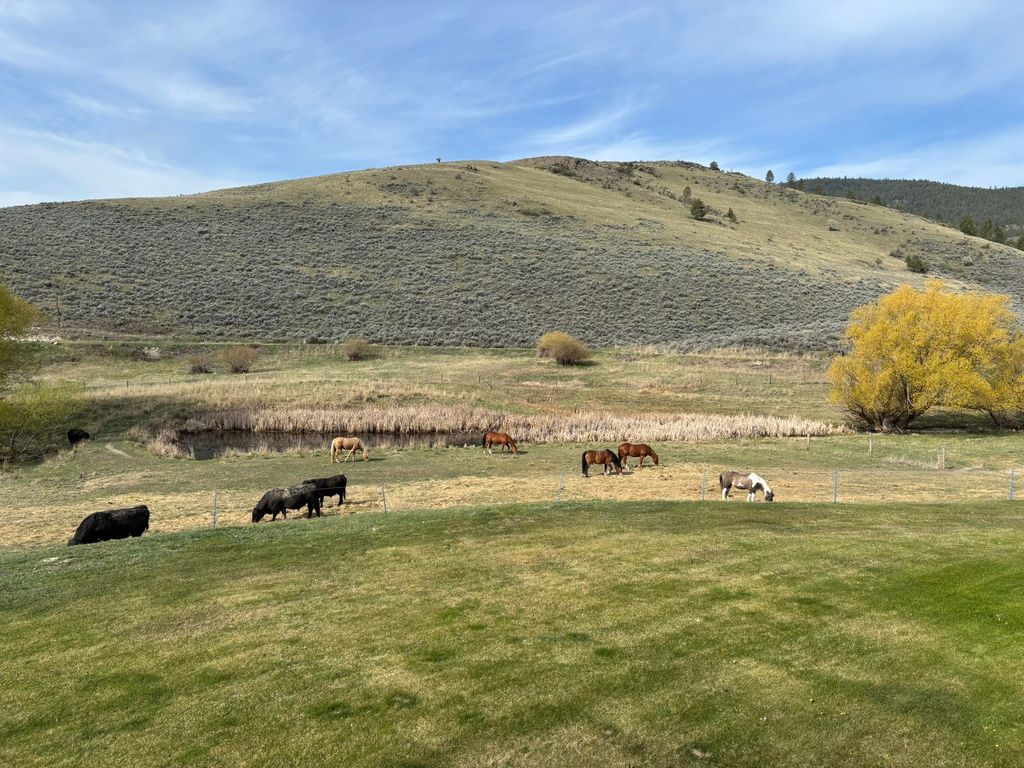 3 Finley Gulch Road, Lonepine, MT 59848 photo 73