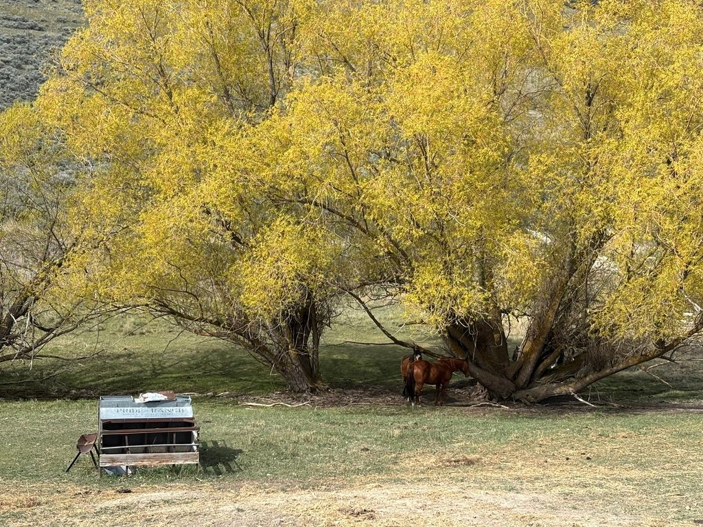 3 Finley Gulch Road, Lonepine, MT 59848 photo 74