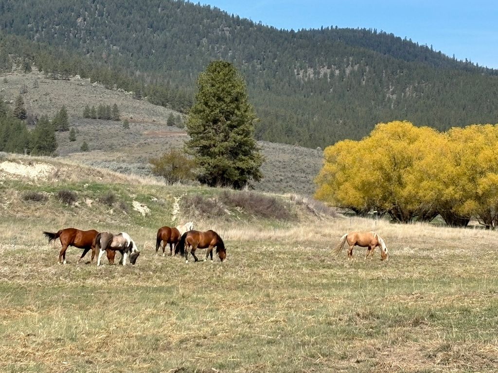 3 Finley Gulch Road, Lonepine, MT 59848 photo 80