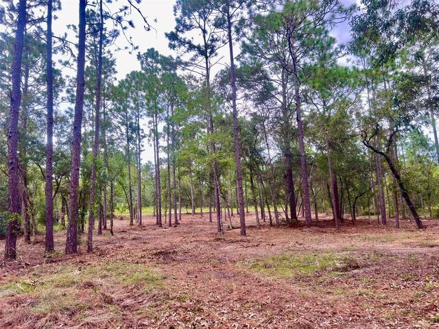 16 SW ANCHOR BOULEVARD, Dunnellon, FL 34431