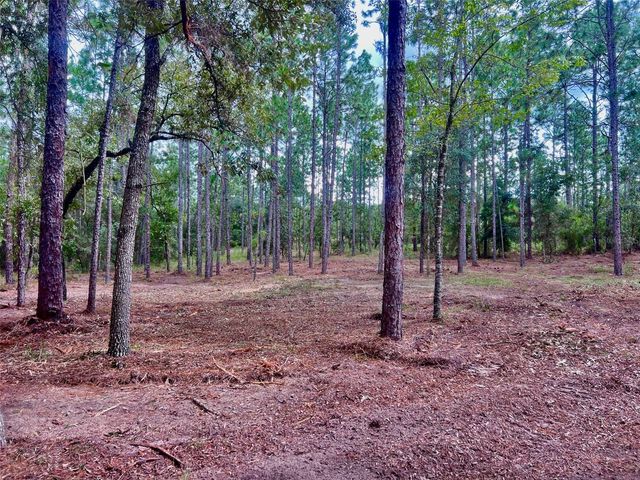 16 SW ANCHOR BOULEVARD, Dunnellon, FL 34431