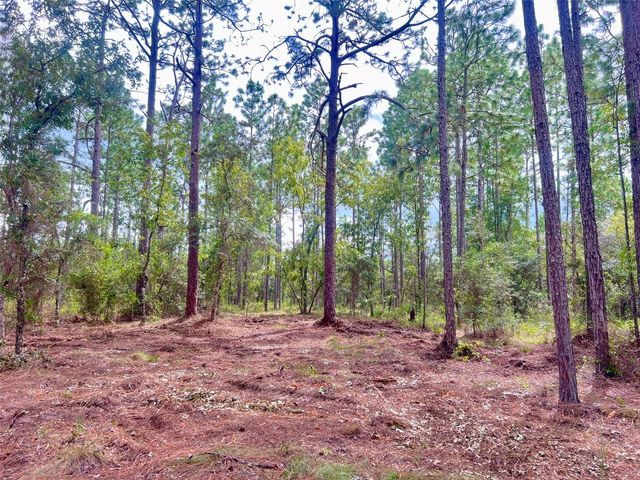 16 SW ANCHOR BOULEVARD, Dunnellon, FL 34431
