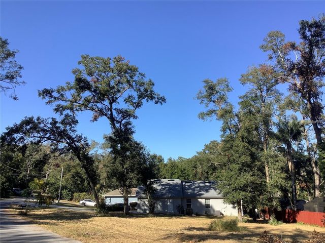 TBD Lot 18 APAWAMIS DRIVE, Sorrento, FL 32776