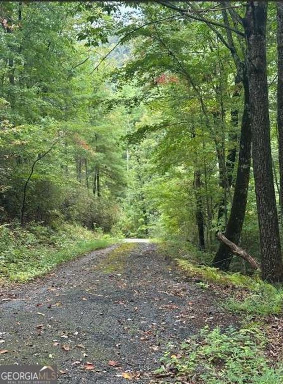 LOT 7 Sequoia Hills Lane 7, Clayton, GA 30525 — photo 2