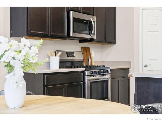 6849 Hayfield Street, Wellington, CO 80549