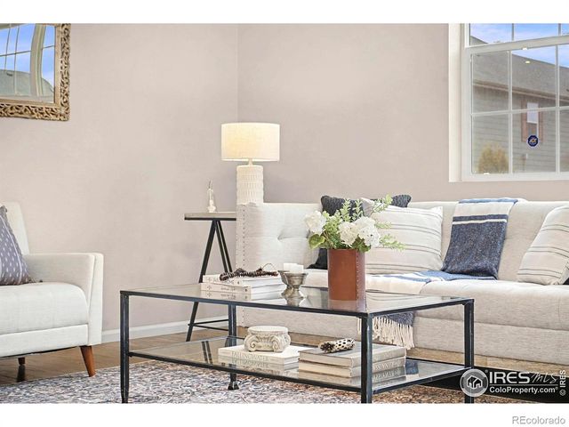 6849 Hayfield Street, Wellington, CO 80549