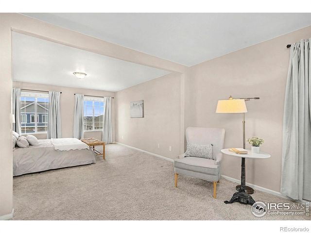 6849 Hayfield Street, Wellington, CO 80549