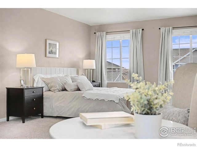 6849 Hayfield Street, Wellington, CO 80549