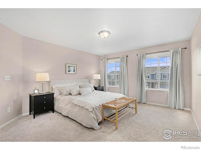 6849 Hayfield Street, Wellington, CO 80549