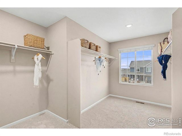 6849 Hayfield Street, Wellington, CO 80549