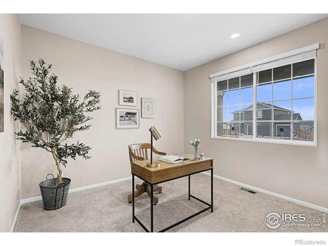 6849 Hayfield Street, Wellington, CO 80549