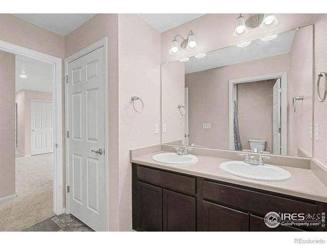 6849 Hayfield Street, Wellington, CO 80549