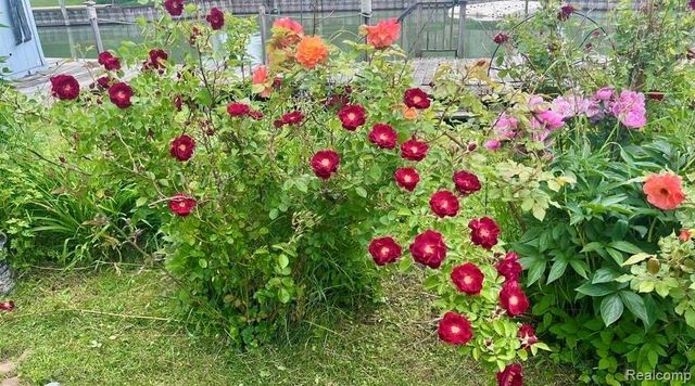 49750 Nautical Drive, Chesterfield Township, MI 48047